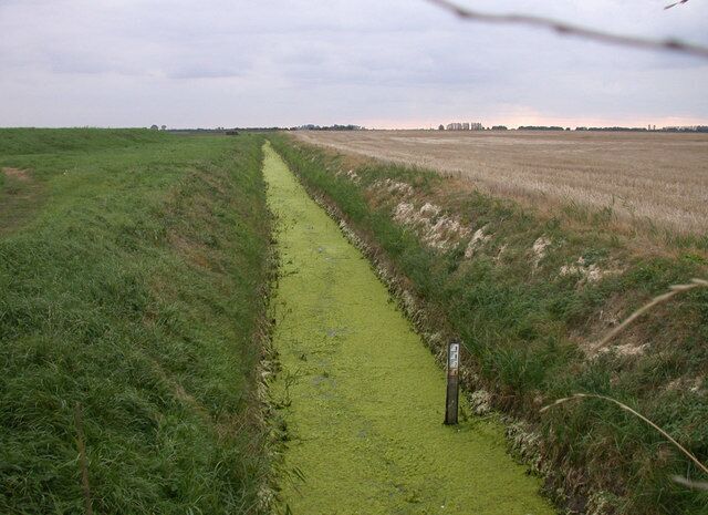 A very green ditch You would not want to fall into this one!