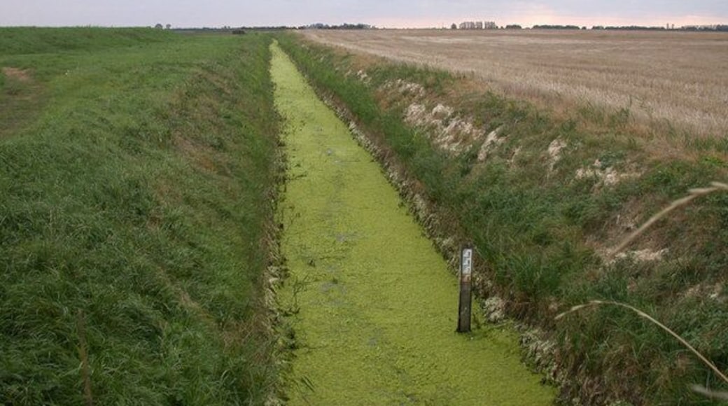 A very green ditch You would not want to fall into this one!