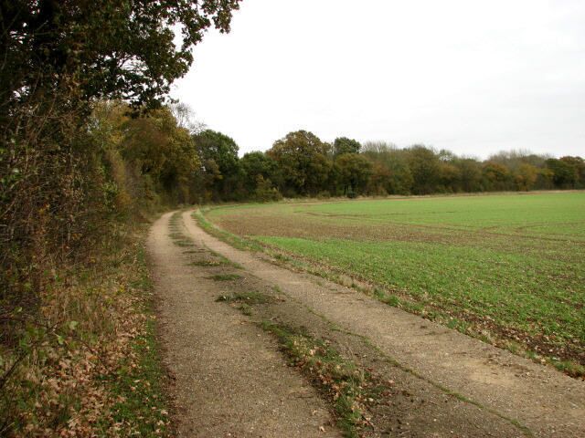 Looking south alongside Honeypot Wood The concrete track, once a service road on a disused WWII airfield, forms the border between the woodland and the adjoining field. The former airfield is situated between the villages of Beeston and Wendling and most of the old runways and tracks remain, but all the wartime buildings are long gone. The present owners have erected a number of large turkey sheds on parts of the former runways.