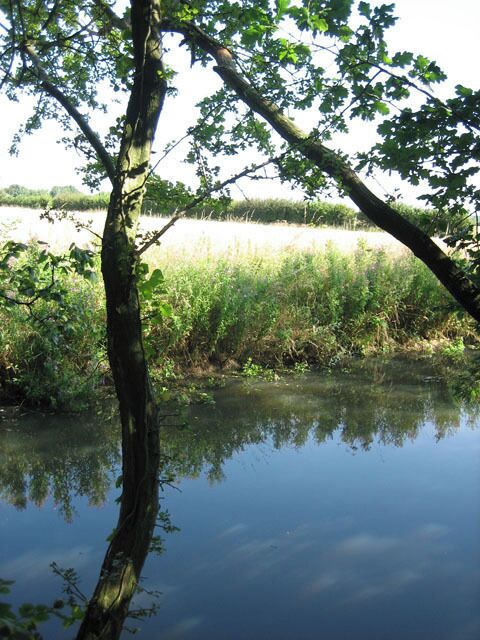 Um rio calmo com reflexo de árvore, cercado por vegetação e um campo distante.