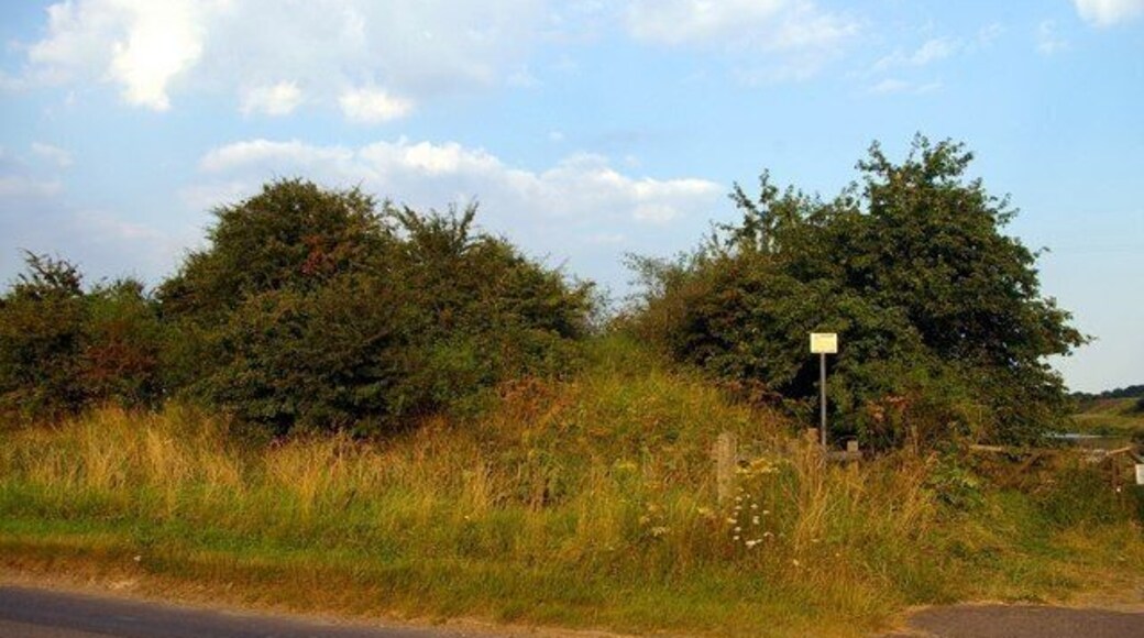 Passengers no more! Surviving embankment of the branch railway from Denver to Stoke Ferry. The last passenger train on this line ran in 1930, though the branch continued to serve the sugar factory at Wissington until the 1970s.