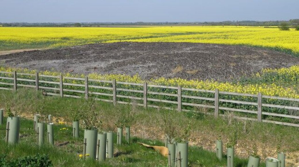 Mega pooh, Great Barford. A favourite on geograph, this has the appearance of a giant cow pat, but the smell says otherwise. Dried bio-solid is the polite term, field stored for autumn application as a fertiliser.