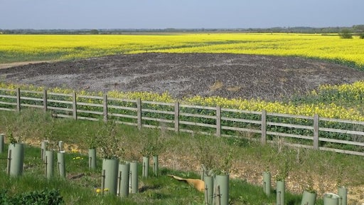Mega pooh, Great Barford. A favourite on geograph, this has the appearance of a giant cow pat, but the smell says otherwise. Dried bio-solid is the polite term, field stored for autumn application as a fertiliser.