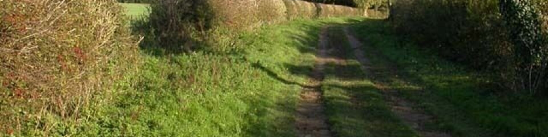 Enclosed Bridleway This direction leads to the village of Wymington.