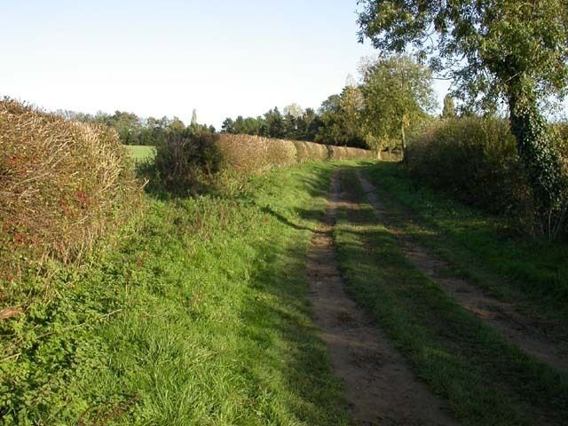 A rural dirt path surrounded by greenery and a stone wall.