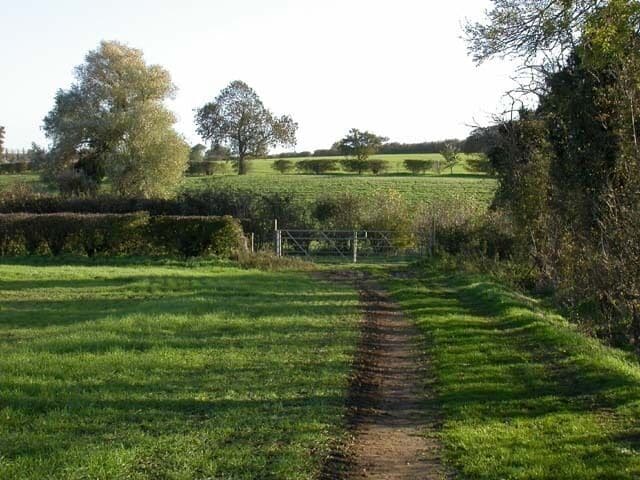 Rural Scene From a bridleway which forms a T junction with another, just ahead, which is enclosed.