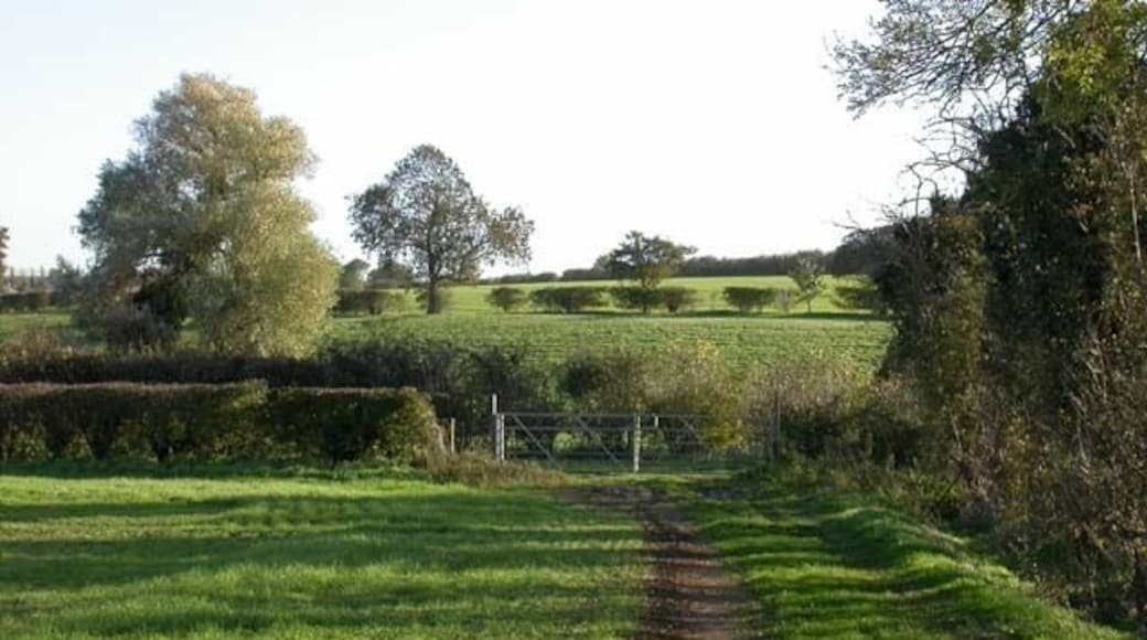 Rural Scene From a bridleway which forms a T junction with another, just ahead, which is enclosed.