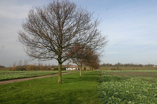 Track to Park Farm, Wyverstone The track is also a public footpath, linking the churches of Wyverstone and Westhorpe, a mile to the north.