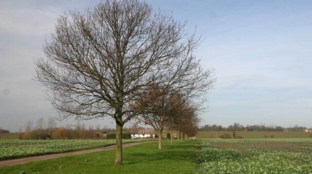 Track to Park Farm, Wyverstone The track is also a public footpath, linking the churches of Wyverstone and Westhorpe, a mile to the north.