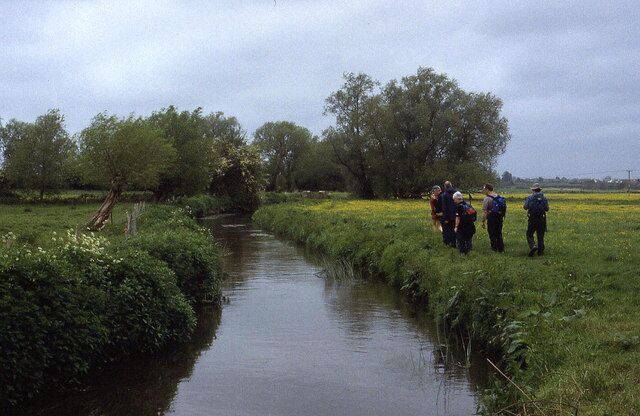 Beside the River Yeo Following the Leland Trail in meadows full of flowers, beside the River Yeo