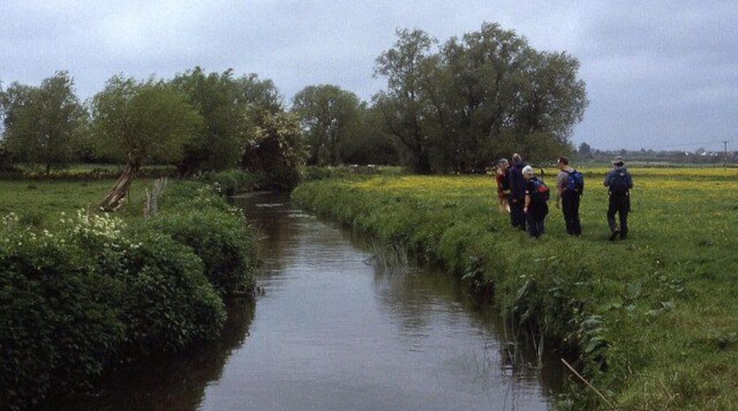 Beside the River Yeo Following the Leland Trail in meadows full of flowers, beside the River Yeo