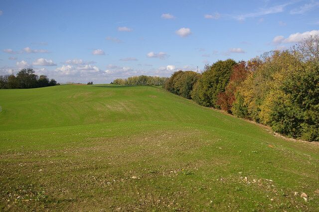 Chelsfield Lakes golf course. Two years ago the land here was about 5 metres lower than shown here. Over that period a procession of lorries arrived at the site laden with soil, which has now been profiled and seeded. It is due to become a 9 hole golf course, opening in Summer 2009, to complement the 18 hole course further west on the site. Until the 1990s, this was an orchard, part of Hewitts Farm, once a major farming enterprise, but now primarily a "pick your own" site (1021074) on the other side of the A224 (which runs behind the trees on the right of the photo). Planning permission was then sought for an out of town shopping centre here, making use of its easy connection to the M25 at nearby Junction 4, and the development of the golf course here followed refusal of that scheme.