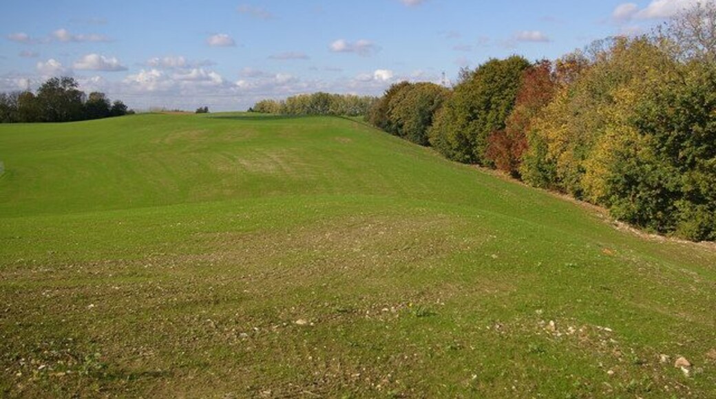 Chelsfield Lakes golf course. Two years ago the land here was about 5 metres lower than shown here. Over that period a procession of lorries arrived at the site laden with soil, which has now been profiled and seeded. It is due to become a 9 hole golf course, opening in Summer 2009, to complement the 18 hole course further west on the site. Until the 1990s, this was an orchard, part of Hewitts Farm, once a major farming enterprise, but now primarily a "pick your own" site (1021074) on the other side of the A224 (which runs behind the trees on the right of the photo). Planning permission was then sought for an out of town shopping centre here, making use of its easy connection to the M25 at nearby Junction 4, and the development of the golf course here followed refusal of that scheme.