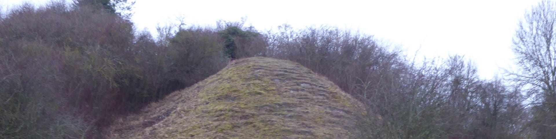 A mound of earth with sparse vegetation, surrounded by trees and a grassy field.