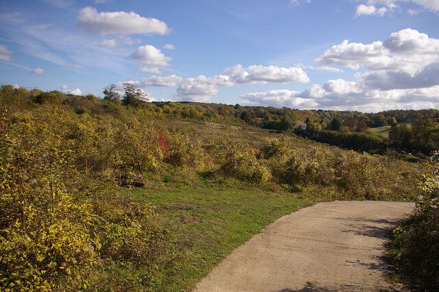 Scrubland near Knockholt Station An undeveloped area of land between the A21 (lampposts on which are just visible on the left of the photo) and the railway (which runs in a cutting by the line of trees to the right of the photo).