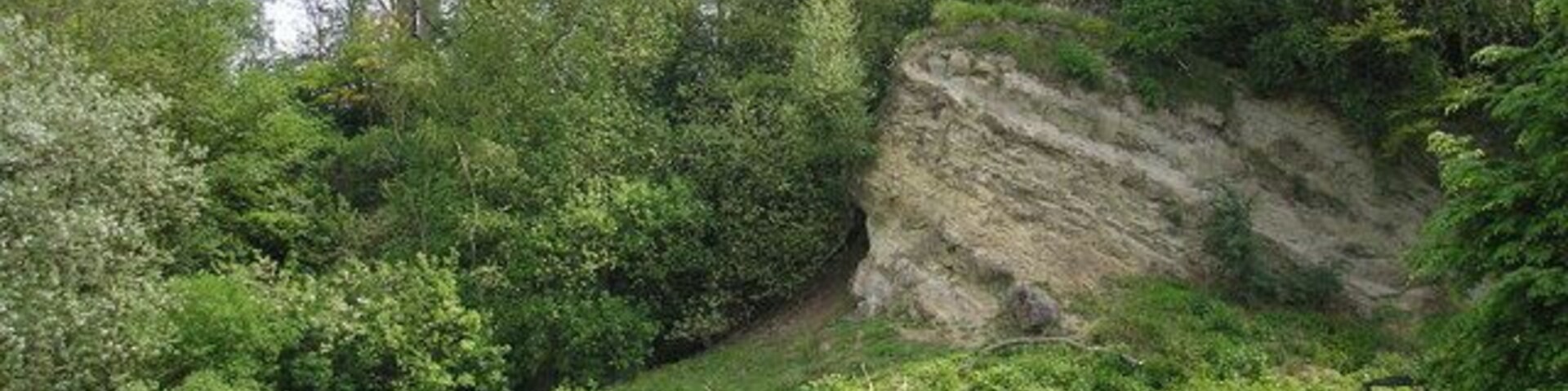Ragstone outcrop, Dryhill Nature Reserve, Kent. Dryhill Local Nature Reserve is to be found just south of the A25 near Sundridge village. This fine Ragstone outcrop and other interesting rock formations are to be seen.