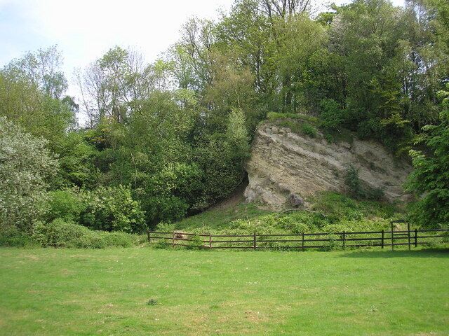 A grassy field with a wooden fence, a rocky cliff, and dense green foliage.