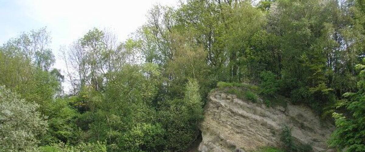 A grassy field with a wooden fence, a rocky cliff, and dense green foliage.
