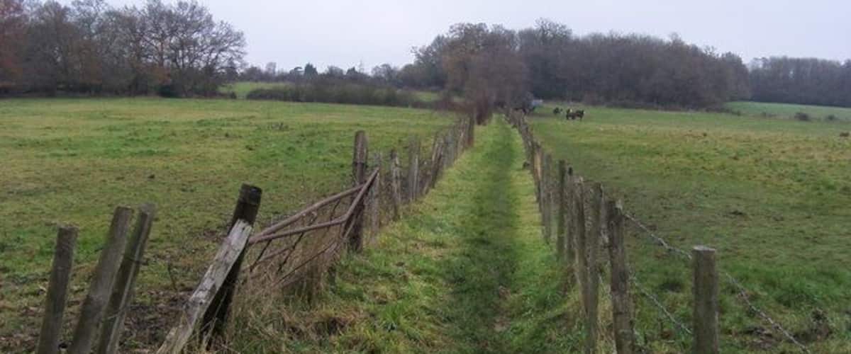 Footpath off Long Lane Footpath off Long Lane heading to Shepherd's Lane