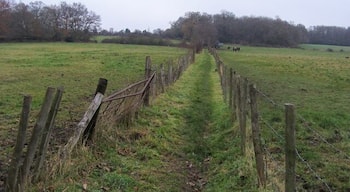 Footpath off Long Lane Footpath off Long Lane heading to Shepherd's Lane