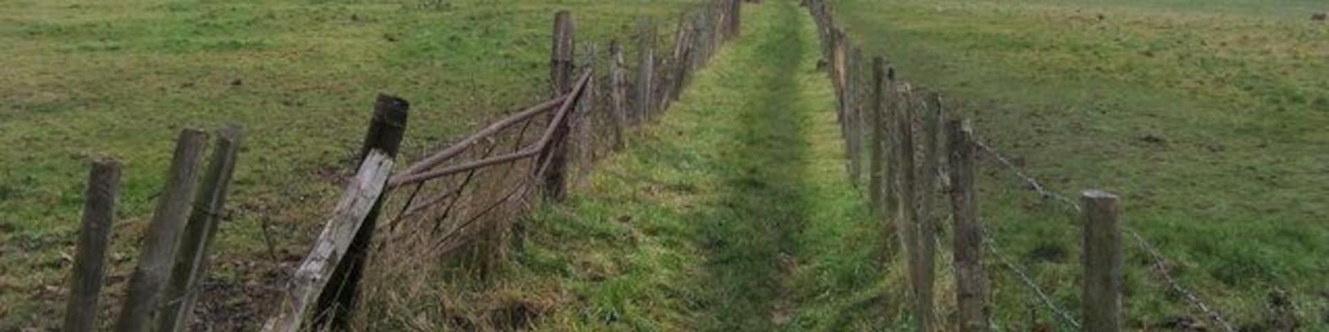Footpath off Long Lane Footpath off Long Lane heading to Shepherd's Lane