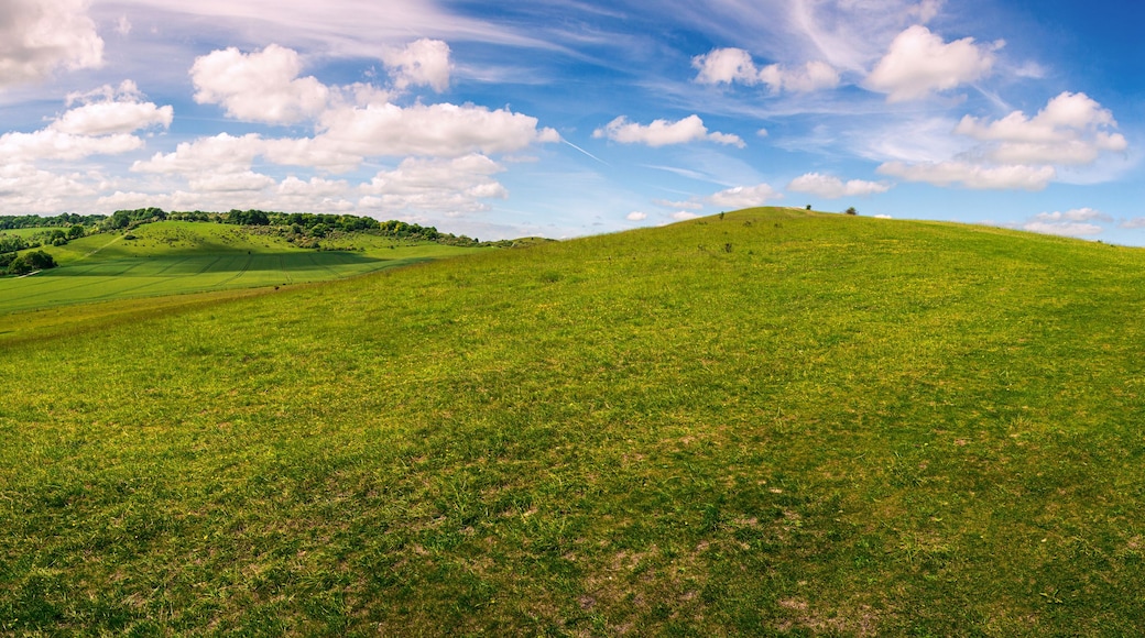 A green hill with a clear sky and scattered clouds.