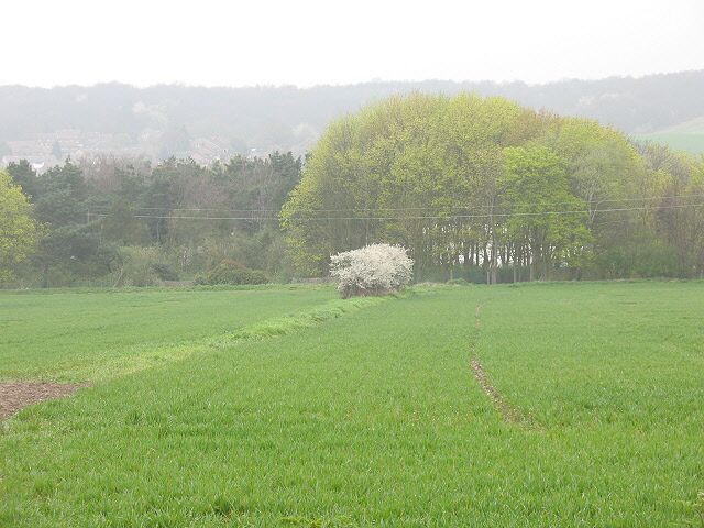 Footpath to Lane End. For another view of this path see 1245507.