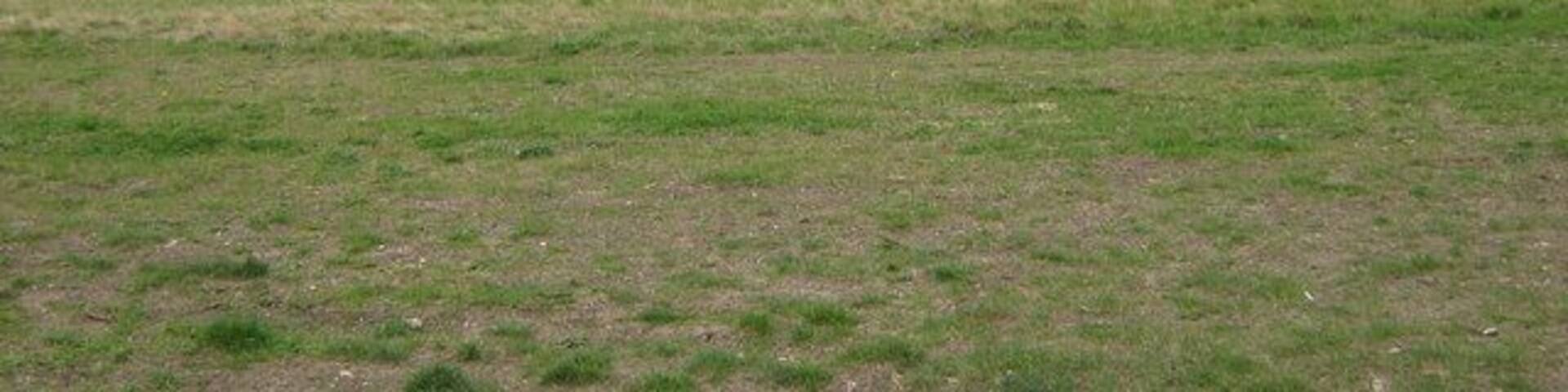 View over Lords Wood As seen from footpath out of Ladies Wood.