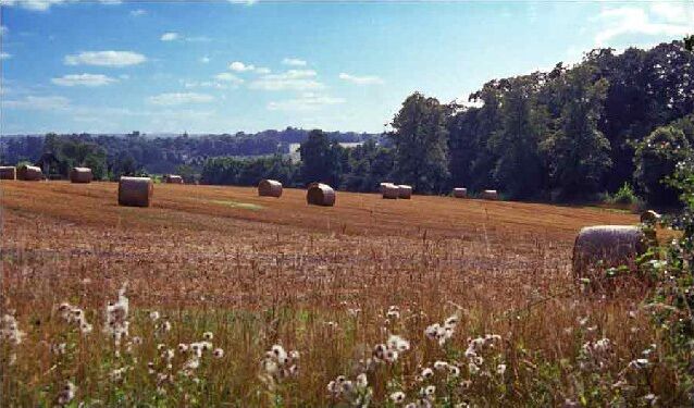 Burnt Farm near Goffs Oak. Harvest scene in a quiet area not far from London.