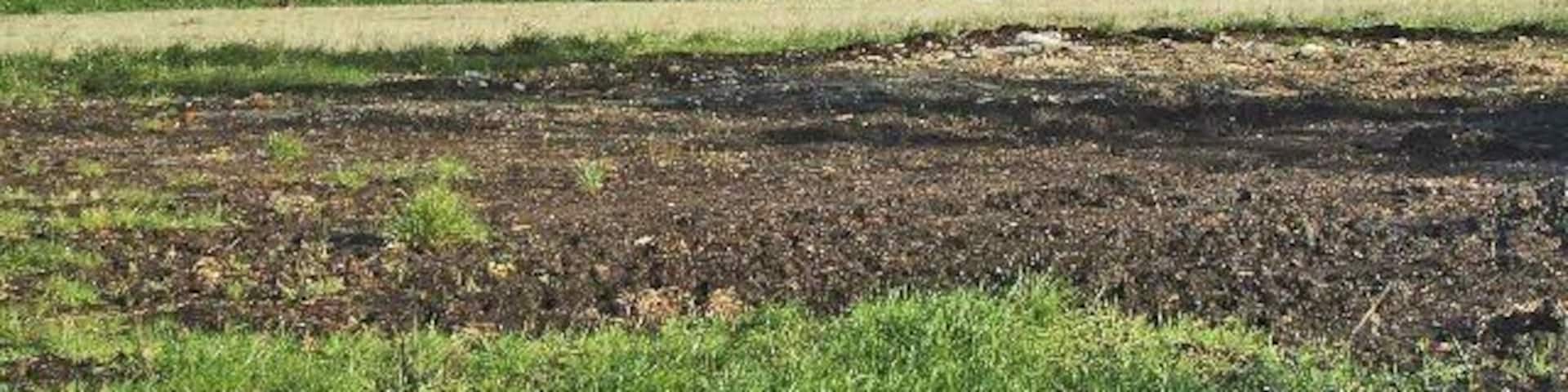 From Silver Street looking north towards the Theobalds Brook. Taken from Silver Street looking north towards the Theobalds Brook taken from near the entrance to the Adath Yisroel Cemetery, which is in the other side of the road.
