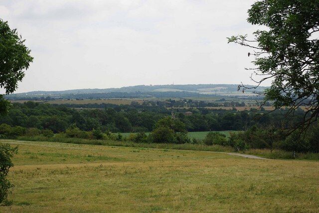View from Pigeon Mount. This is the eastward view across Thorndon Country Park and farmland towards Wistley Heights from 1390088, the 51730 can clearly be seen.