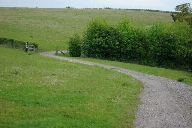 Footpath, Thorndon Country Park