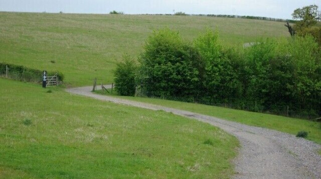 Footpath, Thorndon Country Park