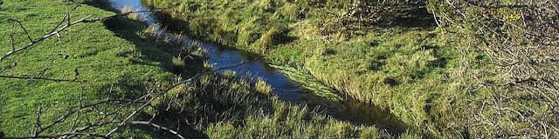 Embleton Burn at Prickley Bridge
