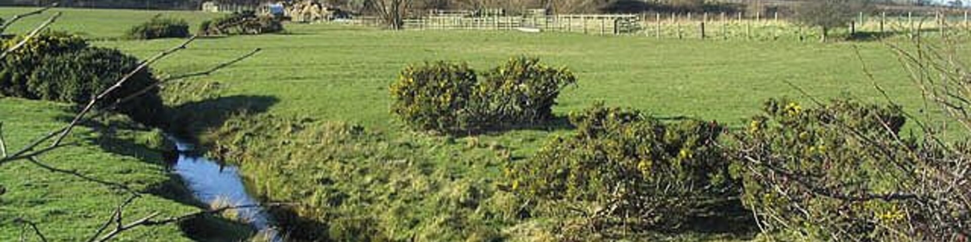 Embleton Burn at Prickley Bridge