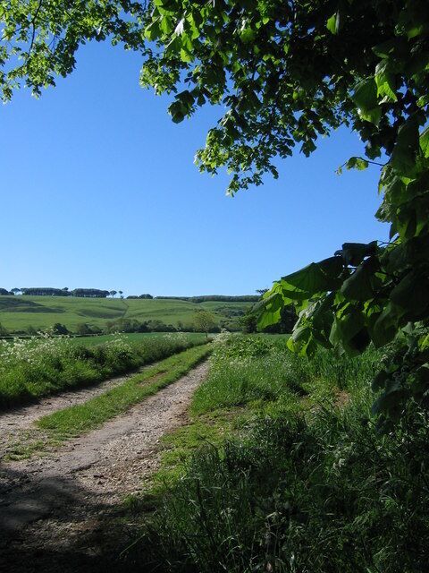 Centenary Way. The track runs SE from the bend in the road near Decoy Plantation.