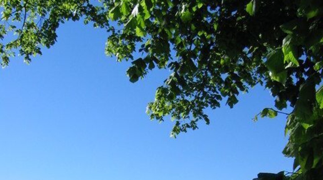 Centenary Way. The track runs SE from the bend in the road near Decoy Plantation.