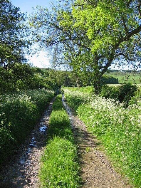 Track to Oxpasture Wood. Looking SE down the track from the road which runs EW across the grid square.