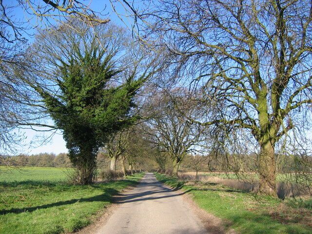 A rural road flanked by leafless trees and open fields.