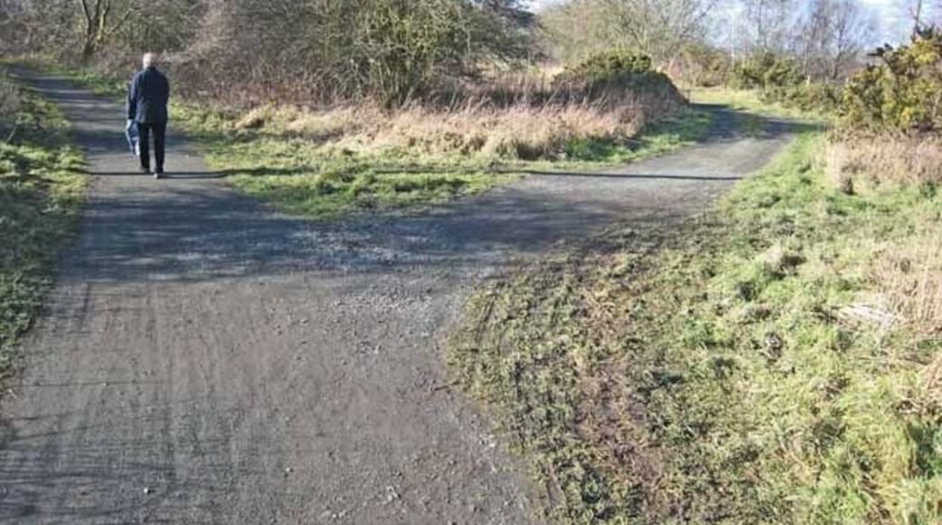 Byers Green Junction The Clarence Railway opened 1837, ran between Spennymoor and Bishop Auckland. The trackbed has now been converted into the Auckland Way http://www.cobr.co.uk/e-cobr_information/cycling_initiatives/sections/rail_trails/auckland_way/text.shtml ,an attractive path for walkers and cyclists, here seen diverging off to the left. To the right, the West Durham Railway, completed 1840 ran towards Willington.