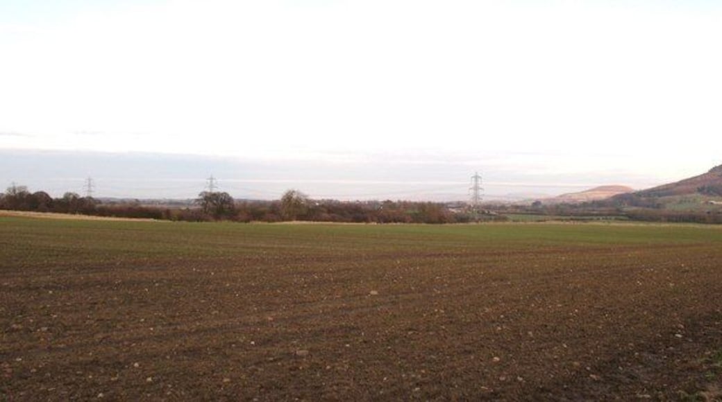 Farmland at East Harlsey There is not much of interest in this square, neither are there many opportunities to enter it. A field track offers access along the southern edge, giving a view across gently undulating farmland towards a line of pylons and the edge of the Cleveland Hills.