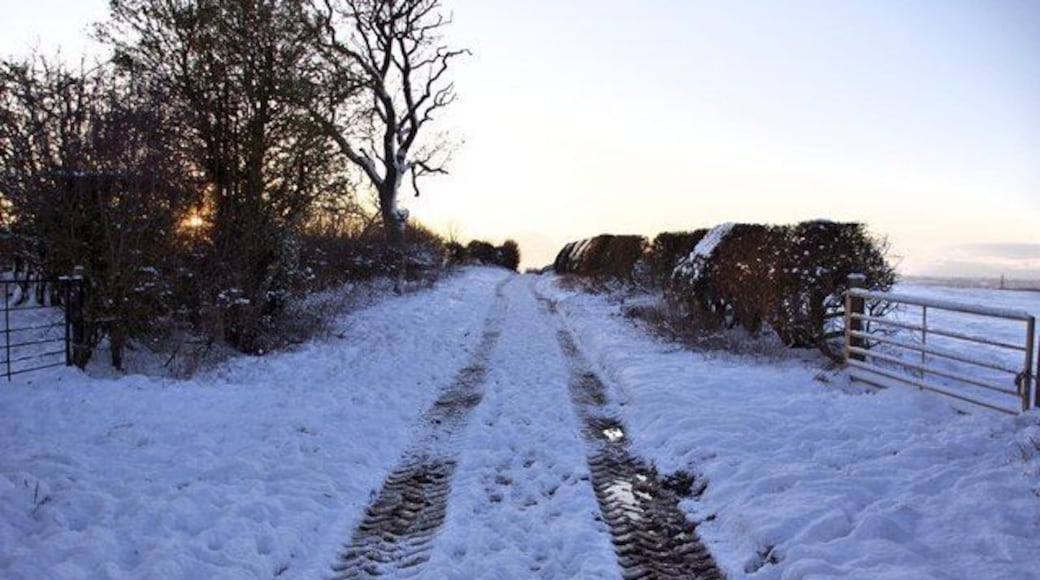 Goosecroft Lane, East Harlsey Snowbound view of this farm track and public footpath