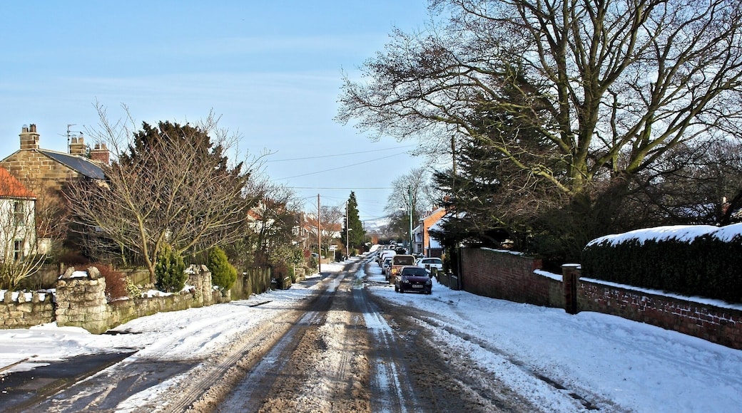 Melting Snow, East Harlsey