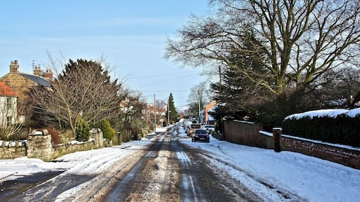 Melting Snow, East Harlsey