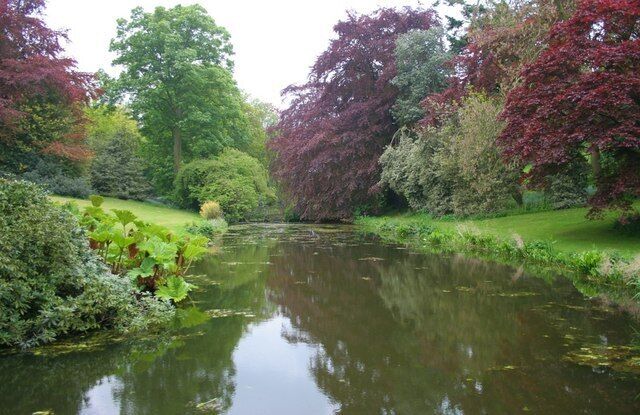 Lake, Harlsey Hall gardens