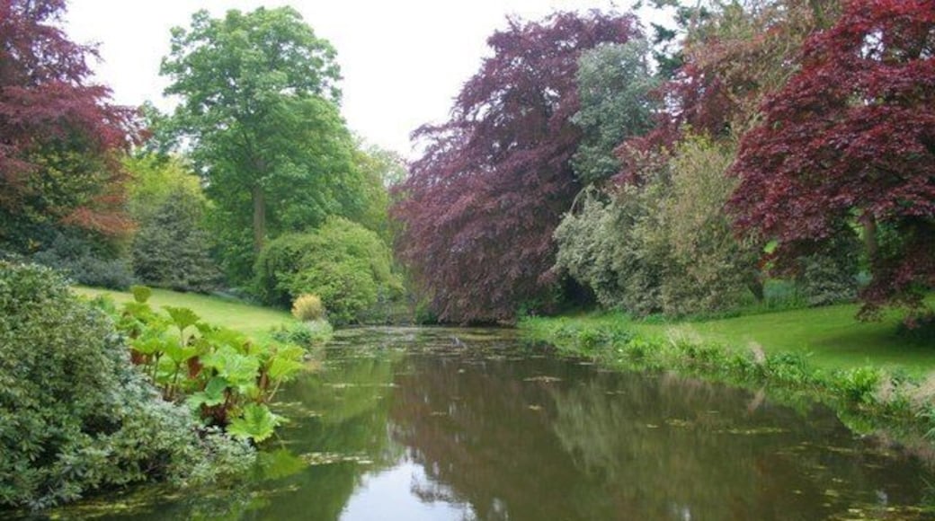Lake, Harlsey Hall gardens