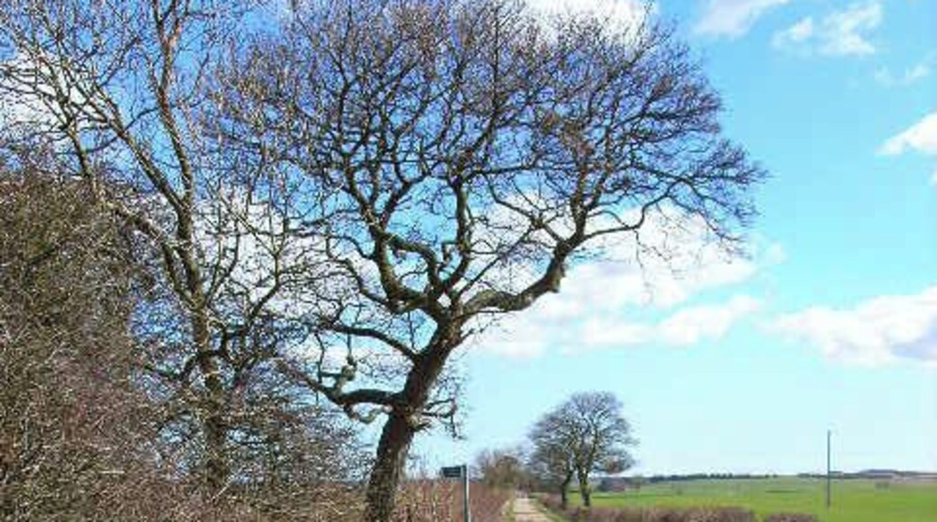 Farm road and bridleway to Humble Knowle Farm, Fishburn