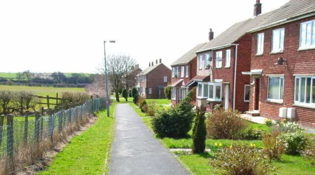 Bridge View, Fishburn Not too certain which bridge it is these houses are supposed to have a view of.