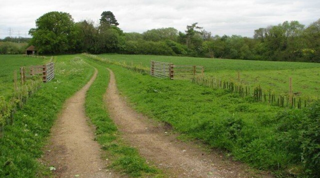 The track to the small church hidden in the trees. There is a small church hidden at the end of the track, just to the right of the small disused barn that is just visible