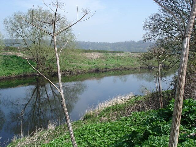 The River Tees The Tees slides slowly eastwards, on the northern edge of Beverley Woods.